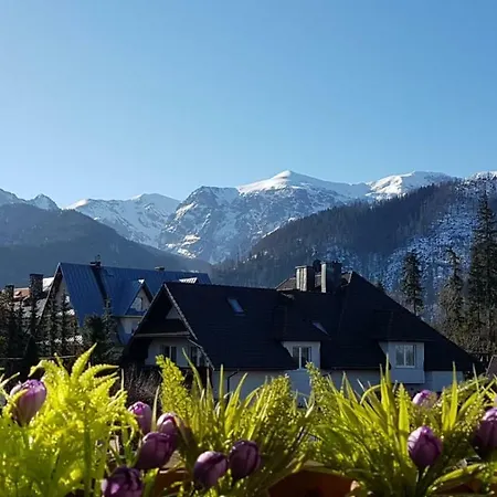 Giewont Lux - Sauna I Basen Apartmán Kościelisko
